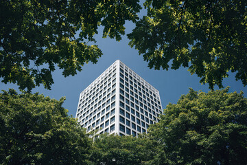 Obraz premium Modern high rise building with window grid pattern surrounded by lush green tree leaves under clear blue sky, creating fresh and vibrant urban atmosphere