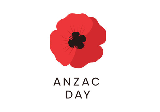 Red Poppy Flower Symbolizing Anzac Day Remembrance.