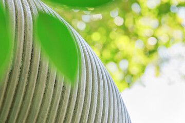 光が差し込む緑の葉と曲線のテクスチャ