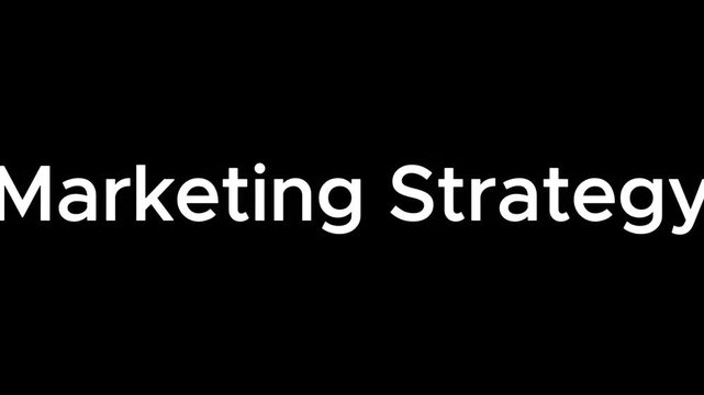 A professional marketing strategy video for business growth and development