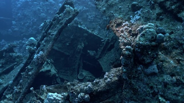 Exterior of the historic SS Carnatic wreck (sunk in 1869) lying on its port side on Abu Nuhas Reef.