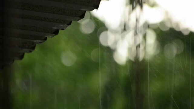 rain drops on the rooftop