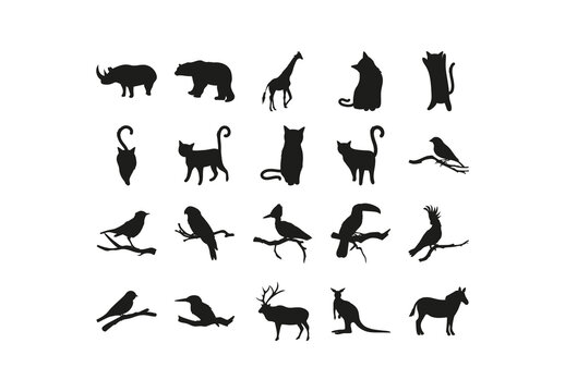 Animal Silhouettes Set