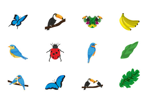 Jungle Animals And Nature Vector Set