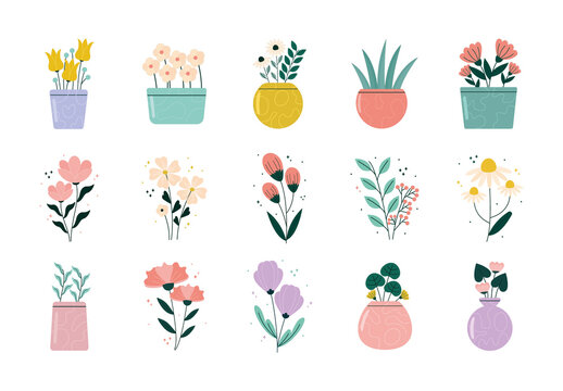 Plants and Flowers Illustration Set