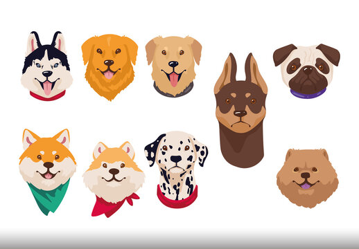 Pets Illustration Design Set