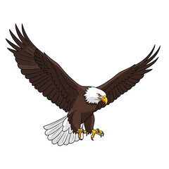 Fototapeta premium A majestic bald eagle in flight with outstretched