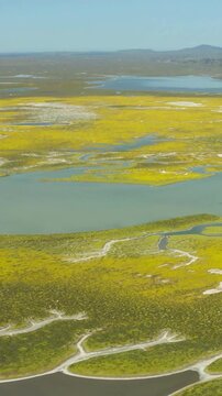 Aerial Wetland Delta with Meandering Channels and Shallow Lakes