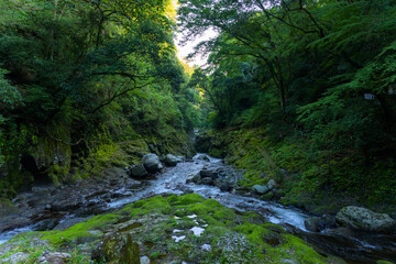 五ヶ瀬川
「日本神話の源流へ(神話の舞台)――太陽の神が隠れた場所で、神秘の一瞬を体験。」
高千穂町(天安河原)
Gokase River
"To the origins of Japanese mythology (the setting of myth) -- Experience a mystical moment in the place where the sun god hid."