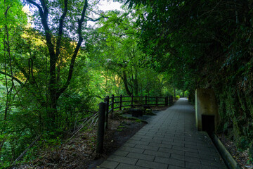 Obraz premium 遊歩道 「日本神話の源流へ(神話の舞台)――太陽の神が隠れた場所で、神秘の一瞬を体験。」 高千穂町(天安河原) Promenade 