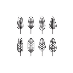 Leatherwood icon line art natural plant design 