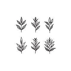 Lemon Verbena icon line art outline 
