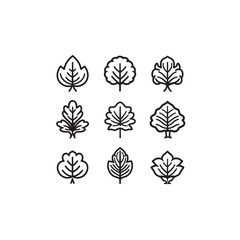 Lettuce Tree Flower icon line art 