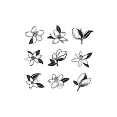 Lime Blossom icon line art garden plant