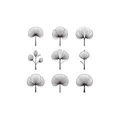 Linden Tree Flower icon line art garden plant