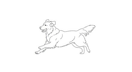 Fototapeta premium Happy Dog Running Line Art Illustration, Playful Golden Retriever Outline, Active Pet