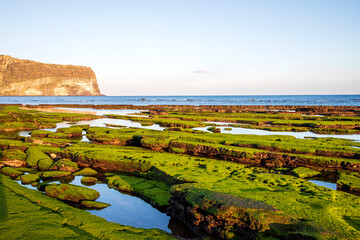 제주 광치기해변