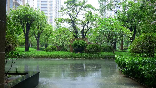 garden of apartment community under typhoon of category 10 video with sound