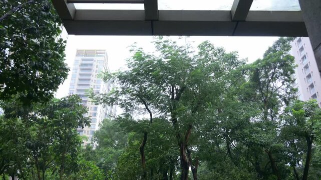 garden of apartment community under typhoon of category 10 video with sound