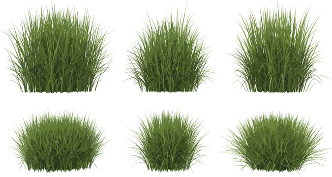 Realistic Green Grass Bush Tuft Set Isolated on White Background Natural Lawn Plant Shrub Collection Vector Illustration