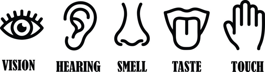 Obraz premium Five Senses Outline Icon Set for Human Body Perception and Sensory System