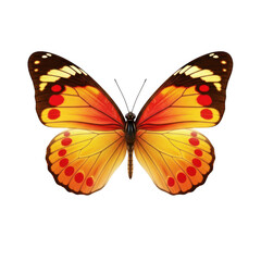 Obraz premium Vibrant butterfly with orange and black wings isolated on transparent background