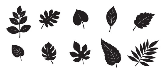 Fototapeta premium A delicate set of black leaves and branches against a White background creates a springtime atmosphere, inspiring creativity vector illustration.