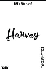 Fototapeta premium Harvey -Boy Names Modern Brush Typography Text Hand Lettering Vector Design