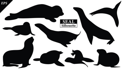 Set of Seal animal Silhouette illustration Isolated on white background, featuring a clean and minimal black shape representing marine wildlife and coastal life. Ideal for logos, icons, Seal vector © Usman Tahir Isolated