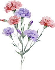 카네이션 꽃 다발