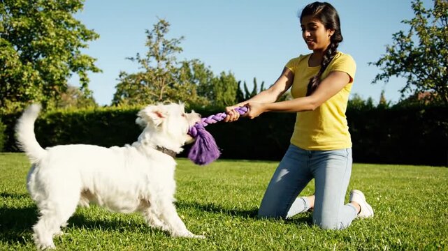 Happy woman and white dog playing tug-of-war on sunny lawn