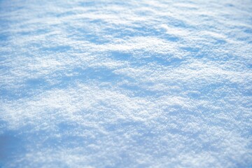 一面の雪 © toki