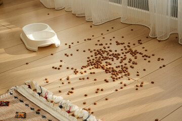 Cat food on the floor next to an empty bowl in sunlight