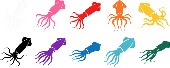 イカ　動物　生き物　イラスト