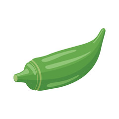 Okra vegetable flat vector illustration on a white background