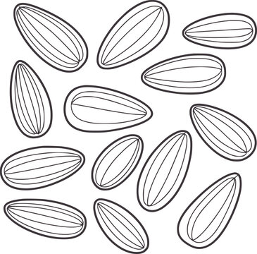 Scattered oval shaped sunflower seeds with internal lines pattern
