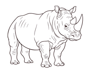 Fototapeta premium Detailed dark brown line art rhinoceros illustration isolated on white background
