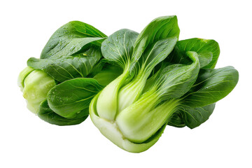 Fresh bok choy vegetable isolated on transparent background. Fresh bok choy with water droplets, healthy vegetable greens isolated on white background.