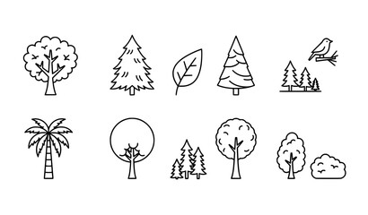 Minimal linear tree icons set with editable stroke for editorial design © Shakib