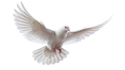 Obraz premium White Dove Flying in Sky Isolated Transparent BG Cutout PNG