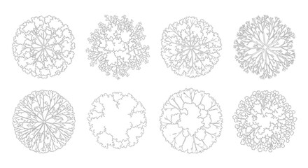 Set of eight diverse top-down tree canopy vector illustrations for architectural and landscape © Nanda