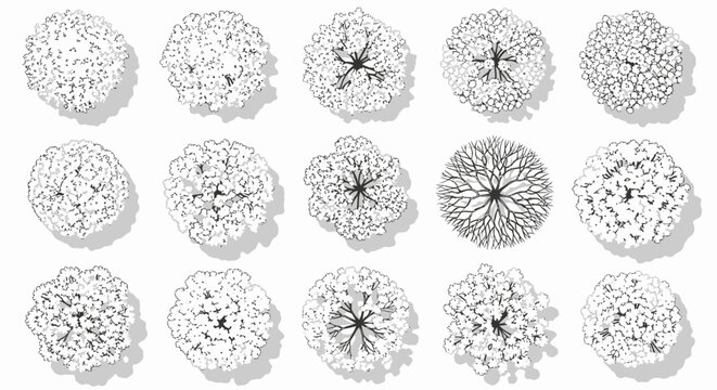 Collection of Top-Down Tree Illustrations for Architectural and Landscape Design