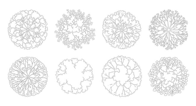 Set of eight diverse top-down tree canopy vector illustrations for architectural and landscape