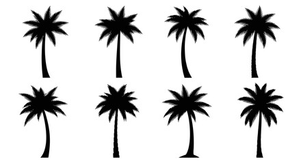 Collection of Diverse Silhouette Palm Trees on a White Background