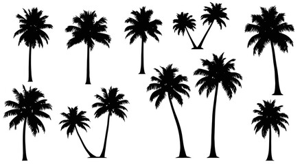 Fototapeta premium Diverse Collection of Tropical Palm Tree Silhouettes on White Background