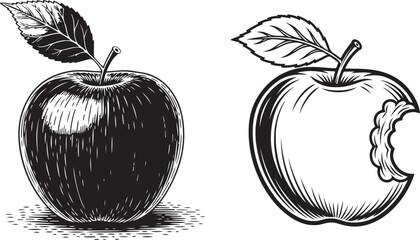 Vintage Apple and Bitten Apple Black and White Hand Drawn. Vintage apple engraving vector illustration with leaf, detailed hand drawn fruit sketch in classic monochrome style