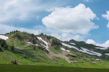 Fototapeta premium Dramatic view from grassy meadow to big hills with coniferous trees under lush clouds in blue sky. Scenic landscape with sunlight and shadows on green hilly mountains with snow in changeable weather.