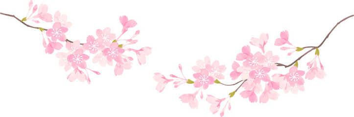 優しい雰囲気の桜の枝のイラスト