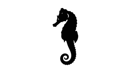 Silhouette of a Majestic Seahorse Against a White Background. © amir
