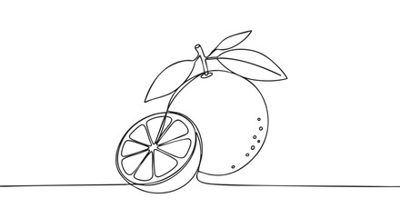 Minimalist continuous line drawing of a whole orange with leaves and a half-slice, showcasing the fresh citrus fruit in a clean, artistic style